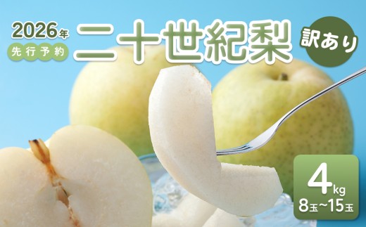 【2026年 先行予約】訳あり 二十世紀梨 4kg｜鳥取 東光園 梨 2026年収穫後 2026年8月下旬～9月頃順次発送※着日指定不可【41057】