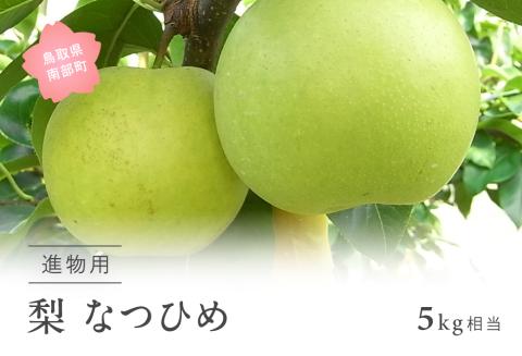 なつひめ [梨]（進物用5kg箱）（出荷予定日：8月18日(日)・20日(火)・23日(金)）＜数量限定＞