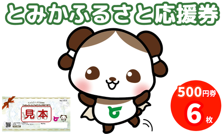 【10099】とみかふるさと応援券 3,000円分 応援券 感謝券 グルメ 食べる 遊ぶ アクティビティ 発行日から1年