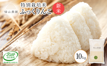 【令和7年産新米予約】 「ふっくりんこ 10kg」特別栽培米産地直送《帰山農園》米 こめ 北海道産お米 北海道米 美味しいお米 北海道産米 道産米 