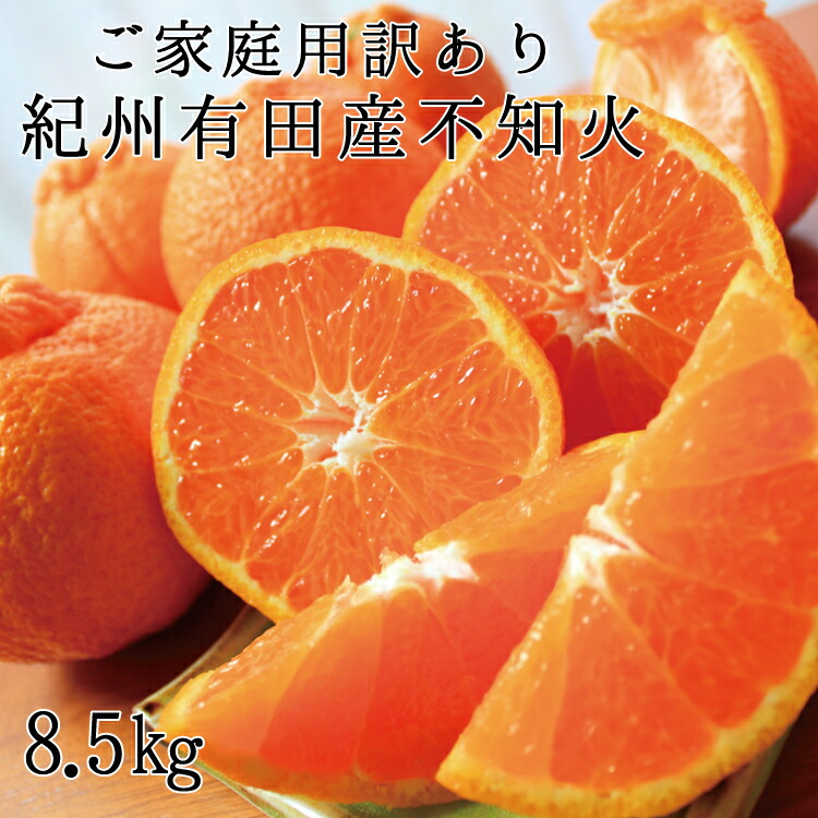 【ご家庭用】紀州有田産 不知火(しらぬひ) 約8.5kg 【予約】 訳あり ※2025年2月中旬頃〜3月上旬頃に順次発送予定(お届け日指定不可) 不知火 みかん ミカン 柑橘 果物 フルーツ