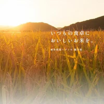 ふるさと納税 羽島市 【毎月定期便】岐阜県産ハツシモ(玄米)5kg全12回 |  | 01