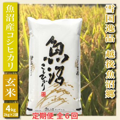 ふるさと納税 魚沼市 【毎月定期便】【雪国逸品 玄米4kg】越後魚沼郷 魚沼産コシヒカリ(2kg×2袋)全6回
