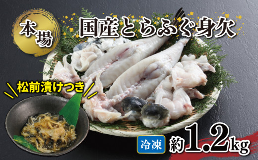 国産 とらふぐ 身欠 セット 約1.1～1.3kg ふぐ松前付付き 冷凍 下関 山口 ふぐ特集 秋 冬 《海（かい）：KA》