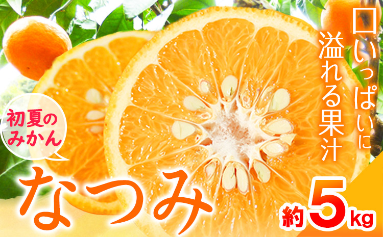 ＜先行予約＞初夏のみかん なつみ約5kg 株式会社 魚鶴商店《2027年4月中旬-4月下旬頃出荷》 和歌山県 日高町 みかん なつみ 南津海 柑橘 果物 フルーツ 送料無料