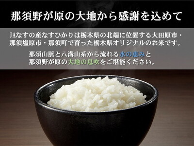 令和7年産 栃木県産 なすひかり 10kg JAなすの産地直送【大田原市・那須塩原市・那須町共通返礼品】〔P-393〕 ｜ 米 コメ こめ 白米 精米 新米