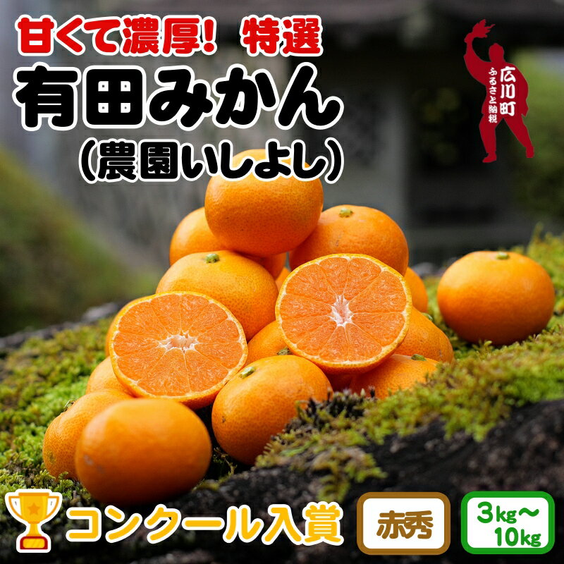 【ふるさと納税】 有田 みかん 特選 赤秀 【 創業120年 農家直送 】 / 温州みかん 有田みかん 甘い ギフト 贈答 高級 和歌山 柑橘 3kg 5kg 10kg 15000円 18000円 ※11月より順次発送 //mandarin