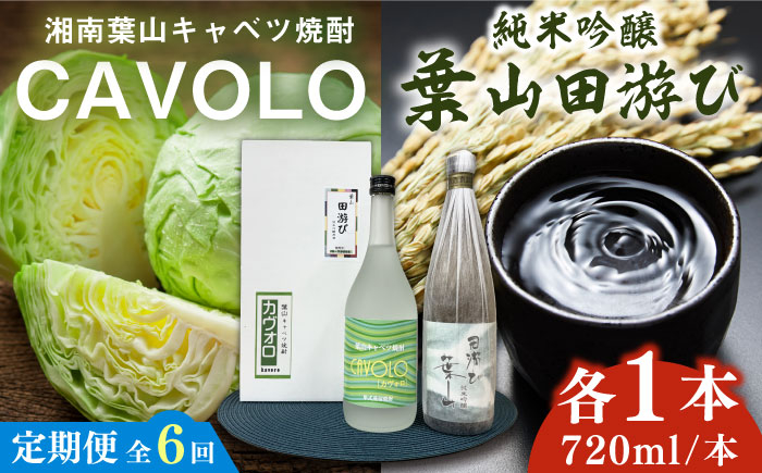 
            【全6回定期便】純米吟醸「葉山田游び」＆湘南葉山キャベツ焼酎「CAVOLO」セット / お酒 純米吟醸 焼酎 日本酒 セット 葉山田游び CAVOLO 神奈川県 葉山町【リカーズかさはら】 [ASBB008]
          