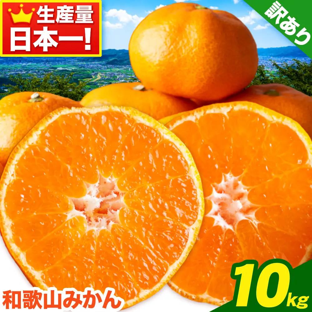 みかん 和歌山 みかん 約10kg