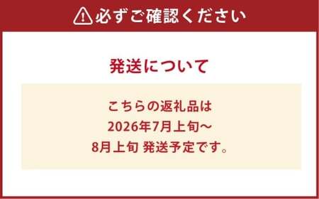 桃 ぶどう 岡山白桃5玉とシャインマスカット2房 詰合せ 合計2.7kg以上 もも モモ 白桃 ブドウ 葡萄 フルーツ 果物 果実 詰め合わせ セット 岡山県 倉敷市【2026年7月上旬～8月上旬まで