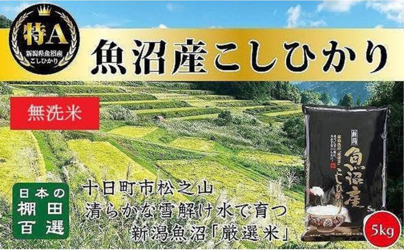【令和7年産新米予約】【食味鑑定士厳選】日本棚田百選のお米 無洗米 天空の里 魚沼産 こしひかり 5kg×1