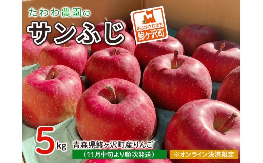
                  りんご 青森 サンふじ リンゴ 約 5kg （18～20玉） 青森県 鰺ヶ沢町産 たわわ農園 フルーツ 果物 果物類 林檎 サンフジ 青森産 ふじ 2026 ※2026年11月中旬より順次発送 ※オンライン決済限定 
                