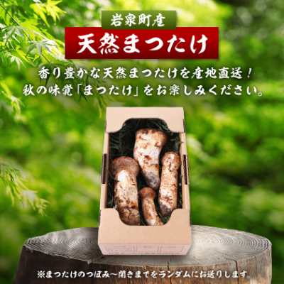 【訳あり】ご家庭用 岩泉まつたけ 直送 500g【配送不可地域：離島】