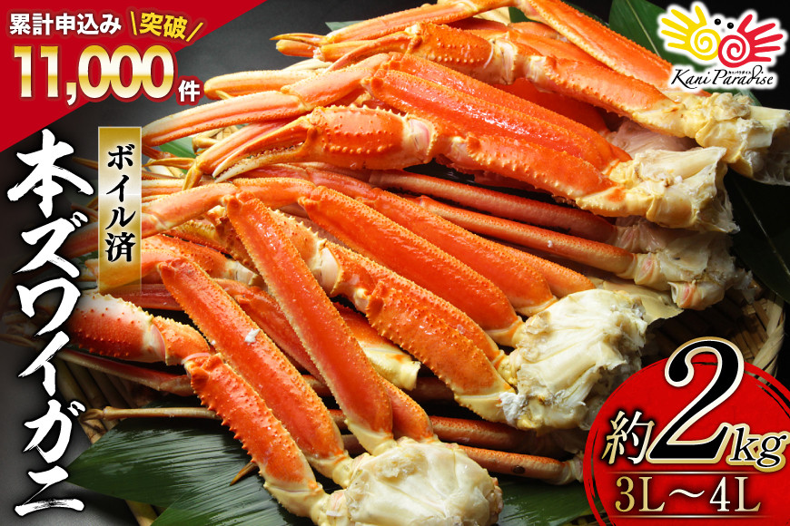 
            ボイル済み 本ずわいがに 脚 3L～4L 総重量 2kg [カネダイ 宮城県 気仙沼市 20564764] カニ 蟹 ズワイガニ ずわい蟹 ズワイ蟹 ずわい ズワイ 海鮮 魚介類 カニ脚 蟹脚 足 ボイル ご褒美
          
