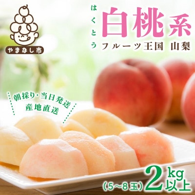 2026年先行受付　山梨県産 桃 白桃系 2kg以上(5～8玉) フルーツ王国・山梨から産地直送【配送不可地域：離島・沖縄県】