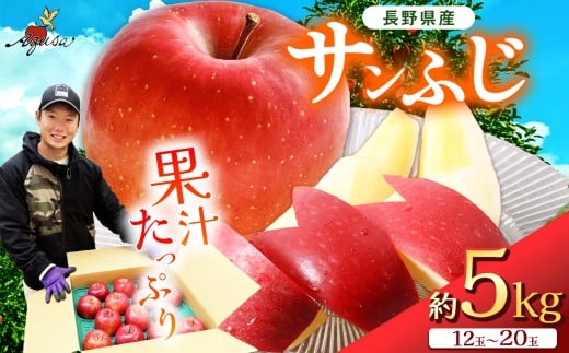 サンふじ 5kg(12～20玉)｜ふるさと納税 松本市 家庭用 サンふじ りんご 林檎 果物 フルーツ 信州 美味しい