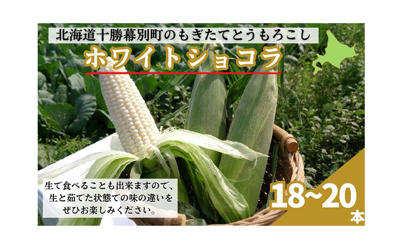 ［先行予約/2025年］もぎたてとうもろこし白18～20本 [北海道ホープランド農場]【 とうきび トウモロコシ とうもろこし 野菜 夏野菜 フルーツ 北海道 十勝 幕別 】