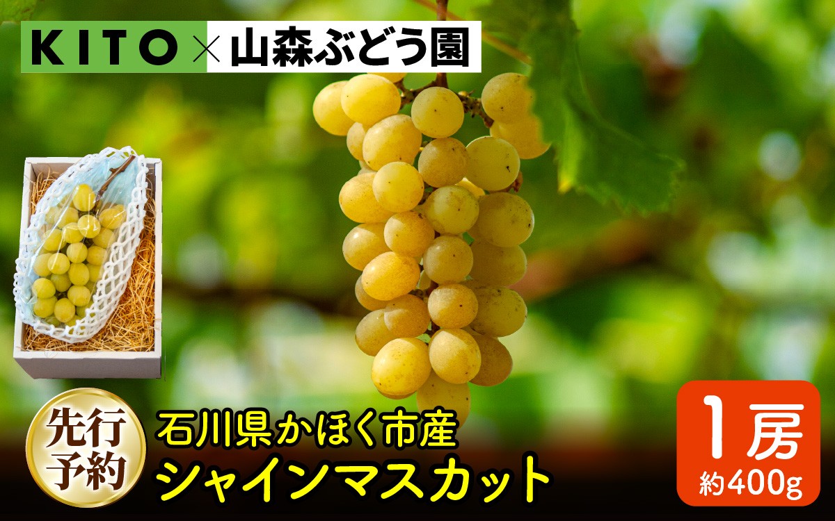 
                  ＼チョイス 9位／【先行予約 令和8年産】「シャインマスカット」400g×1房 石川県かほく市産【2026年8月より順次発送】 | フルーツ 果物 ぶどう ブドウ 石川県 数量限定 400グラム 山森ぶどう園 高糖度 甘い 季節の果物 無袋栽培 自然栽培 
                