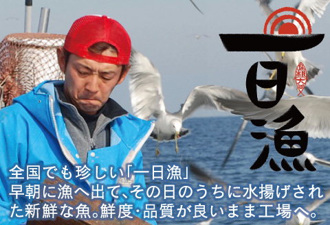 【定期便】島根県沖!大ぶり「のどぐろ一夜干」定期便(6回お届け)【定期便 海鮮 のどぐろ 干物 2尾 6回 合計12尾 のどぐろ一夜干し のどぐろ干物 大ぶり 大 個包装 真空パック 冷凍 セット 島
