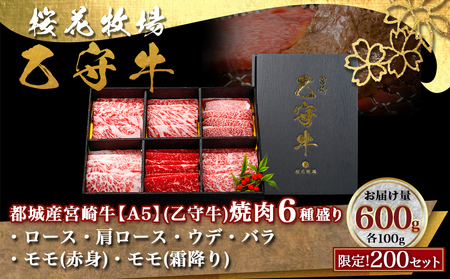 ≪限定200セット≫隔月6回お届け!【宮崎牛A5】焼肉6種盛り(乙守牛）_T180-6-6501_(都城市) 都城産宮崎牛 A5 焼肉6種盛 各100g ロース/肩ロース/ウデ/バラ/モモ(赤身)/モ