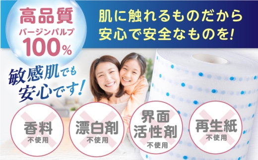 【2回定期便・6カ月に1回発送】 3倍長持ち トイレットペーパー サンハニー (水玉ブルー柄) 【機能素材株式会社】 [ATAA019]