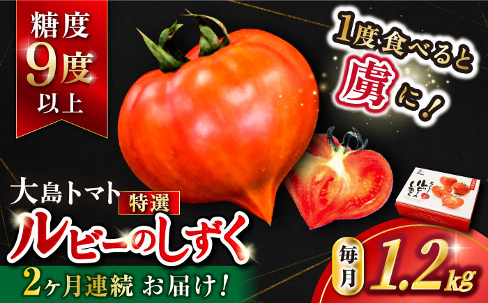 
トマト 高糖度 【2025年収穫分先行予約】【2回 定期便 】糖度9度以上！ 大島 トマト 特選「 ルビーのしずく 」約1.2kg 西海市産 トマト とまと 訳あり トマト 大島トマト 甘いトマト ＜大島造船所農産G＞ [CCK030]
