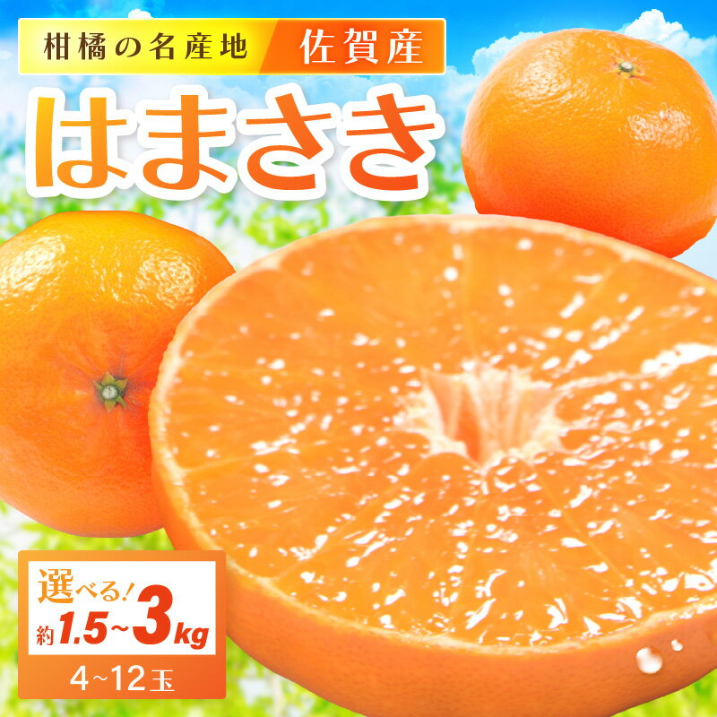 【ふるさと納税】佐賀産 柑橘 「はまさき」 ＜内容量が選べる／ 約1.5kg箱 (4-7玉) ・約3kg(約7-12玉)＞ 【 果物 フルーツ 麗江 かんきつ みかん 蜜柑 オレンジ ふるさと納税 フルーツ 】