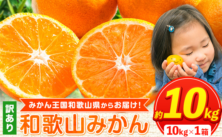 【ふるさと納税】【訳あり/サイズ不選別】 和歌山みかん 約10kg 和歌山県産 《11月中旬から1月中旬に出荷予定(土日祝除く)》たっぷり ご家庭用 2L〜2S 産地直送 みかん 旬 蜜柑 ミカン 柑橘 果物 フルーツ 和歌山県 紀の川市