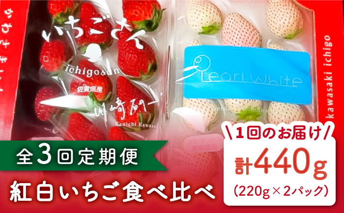 【先行予約】【3回定期便】食べ比べ！いちごさん＆パールホワイト 詰め合わせ定期便 各品種220g（計440g以上）/回【かわさきいちご】 [IBG013]