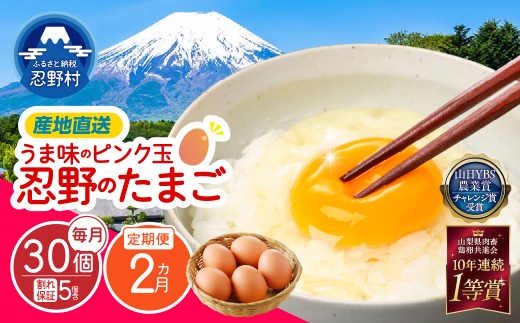 【2ヶ月定期便】”忍野の卵”旨味のピンク玉 （毎月30個×2回） ※割れ保証含む　[卵 定期便 定期 国産 産地直送 毎月 生卵 玉子 たまご 卵かけご飯 卵焼き 親子丼 目玉焼き すき焼き オムライス オムレツ スイーツ作り 料理 調理 人気 鶏卵 鶏 新鮮 2ヵ月 2か月 山梨県 忍野村]