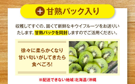 キウイ 訳あり（10個）【11月上旬から順次発送】キウイ[AGDC006]
