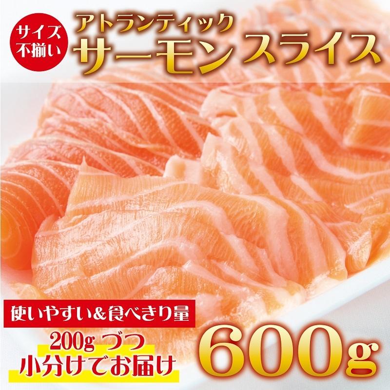 アトランティックサーモン 600g（200g×3）訳あり サイズ不揃い 小分け 便利 010B1143_イメージ1