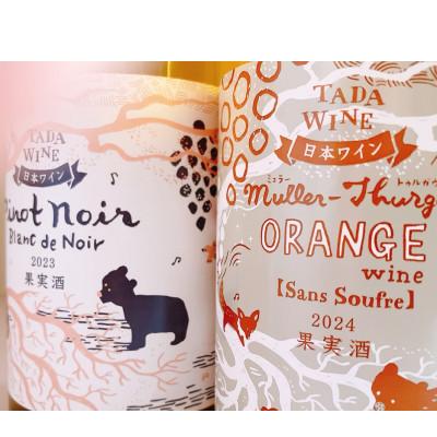 ふるさと納税 上富良野町 【野生酵母】ピノ・ノワールの白ワイン&ミュラー・トゥルガウのオレンジワイン　多田ワイナリー |  | 01