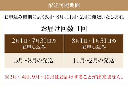 京都・京丹後 野菜セット【アスカ有機農園】旬の京丹後野菜セットS（栽培期間中　お試しサイズ・農薬・化学肥料不使用）＜京都 オーガニック アクション加盟＞京野菜セット・野菜 詰め合わせ・栽培期間中 無農