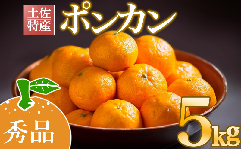 
            【早期予約受付開始】2026年1月下旬より順次発送 あわ地区 ポンカン 秀品 5kg 2026年 収穫分 みかん 高知 須崎 AWA006
          