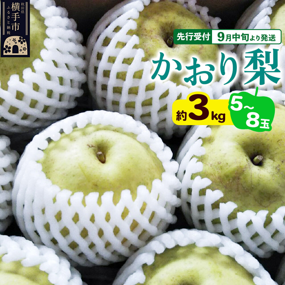 【ふるさと納税】【先行受付】9月中旬より発送 かおり約3kg（5〜8玉）かおり梨 大玉品種 青梨 和梨 秋田県横手市 [先行予約 秋田県 横手市 ナシ なし 果物 フルーツ]