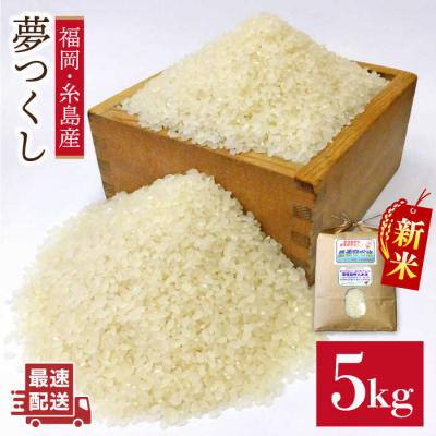 ふるさと納税 糸島市 農薬 使わない 栽培!糸島産 夢つくし 5kg 玄米 分搗き 対応《糸島》[ABB025]