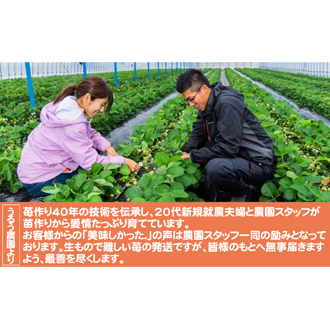 いちご 2025年12月より発送 特選あまおう 400g ※配送不可：離島_イメージ2