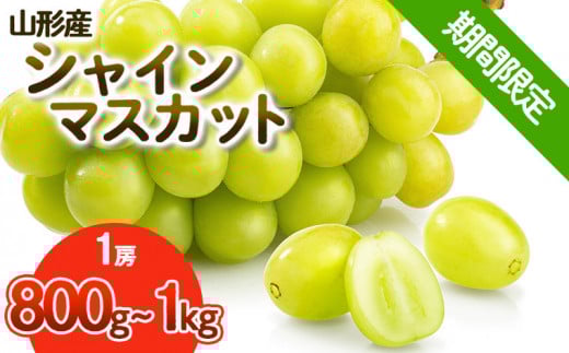 【期間限定】希少！冬の大粒大房のシャインマスカット 秀品 1房(800g～1kg) FY25-904