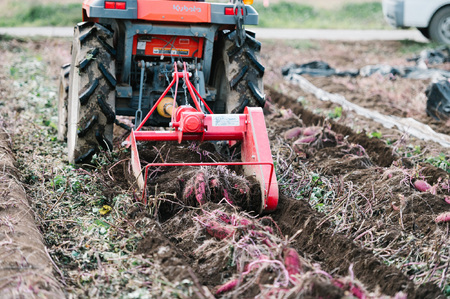 焼き芋クロワッサン クロワッサン クロワッサン クロワッサン クロワッサン クロワッサン クロワッサン 