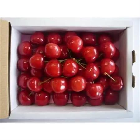 【2027年発送】産地直送　信州中野産　さくらんぼ　香夏錦　ハート箱　約300g【配送不可地域：離島】【1569909】