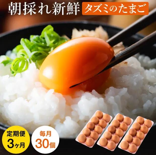 【累計600万個突破！】【TVで紹介されました】【定期便】タズミの卵（30個×3ヶ月）022AB01N.／こだわり卵 市川町産 兵庫県産 たまご たまごかけご飯 玉子 生卵 鶏卵 タマゴ 卵焼き TKG 3か月 定期便
