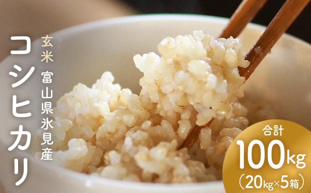 
            【玄米】コシヒカリ 100kg（20kg×5）富山県氷見産  富山県 氷見市 米 コシヒカリ
          