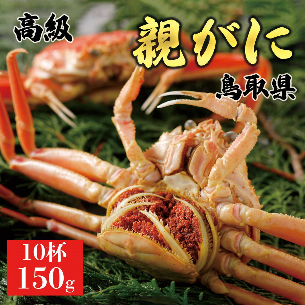 【ふるさと納税】【2025年12月発送】鳥取県産 特撰 親がに 姿【セコガニ】（茹）【訳あり】150g 10杯