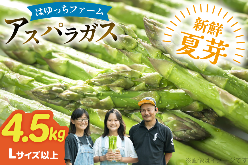 アスパラ アスパラガス 夏芽アスパラガス 4.5kg Lサイズ以上 [はゆっちFARM 長崎県 東彼杵町 hs42bag360010] アスパラ あすぱら 新鮮 夏