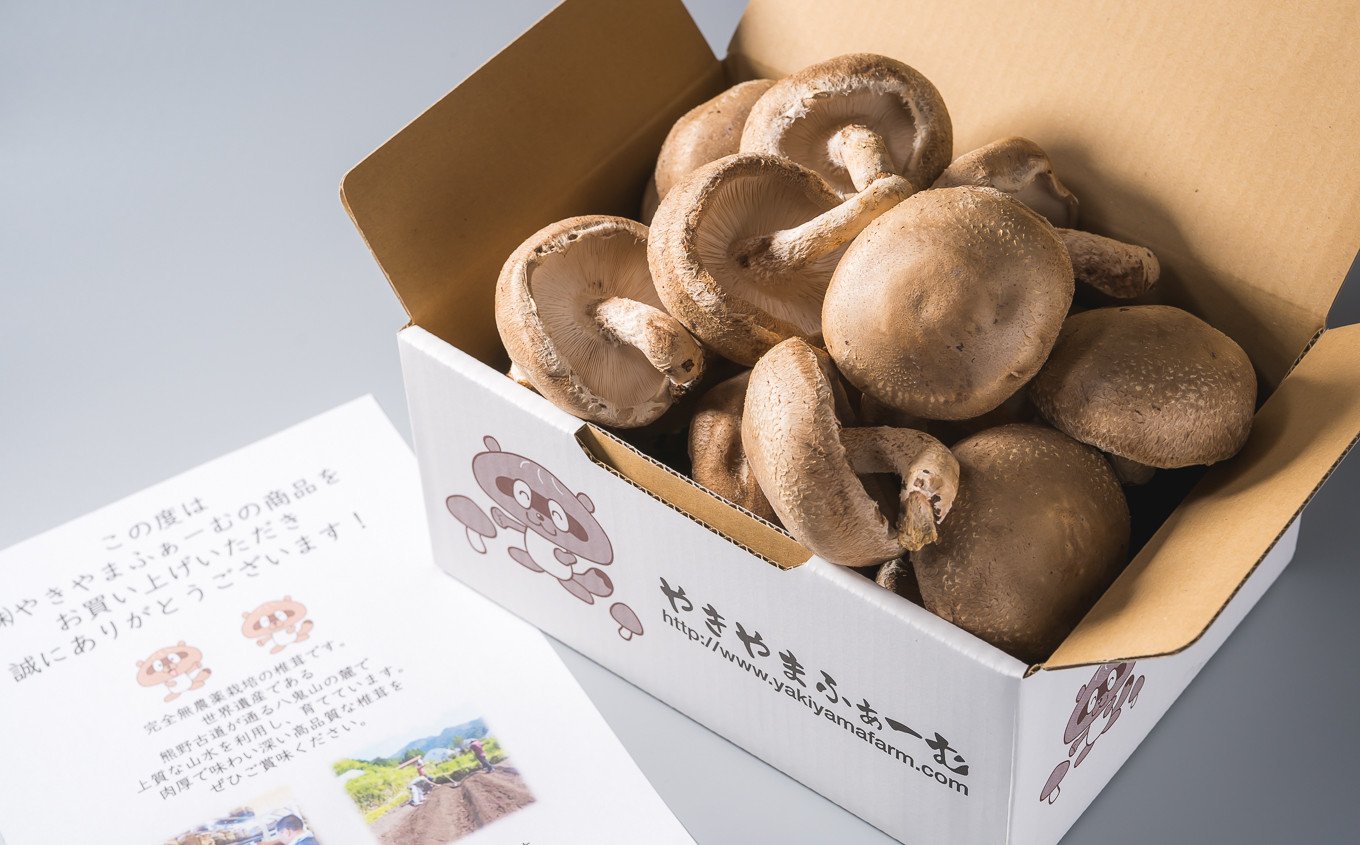 大きなサイズを選りすぐり！
専用の段ボールで約20個お送りします！