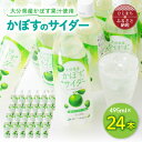 【ふるさと納税】 かぼすのサイダー ( 495ml × 24本 )_ サイダー 飲料 ジュース カボス 炭酸飲料 ご当地ドリンク お取り寄せ 水分補給 人気 おいしい 微炭酸 【1086650】