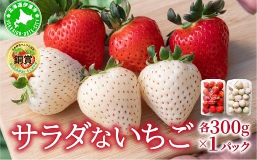 ＜2026年先行予約＞ サラダないちご（赤・白）【ecg-003】