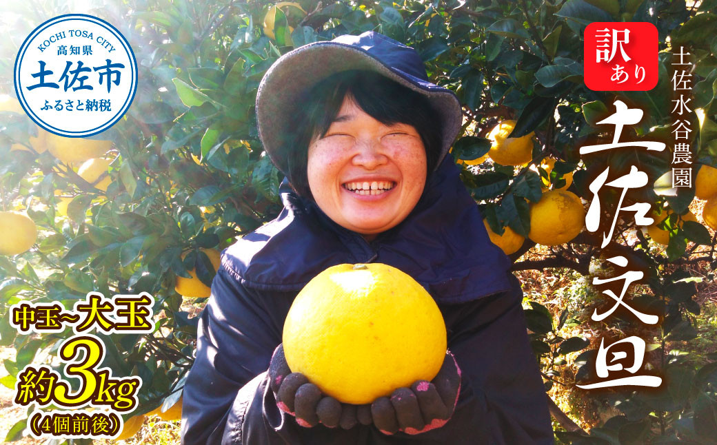 
            本場、高知県土佐市産！土佐水谷農園の露地土佐文旦 家庭用3キロ 3kg 中玉~大玉（3L～上限なし：4玉前後）皮むき器付き 訳あり 文旦 ぶんたん ブンタン 土佐文旦 ご自宅用 柑橘 フルーツ 果物 土佐 高知
          