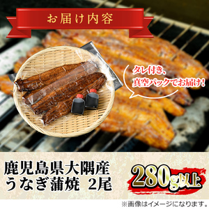 【0263708a-2607】＜丑の日までにお届け！＞鹿児島県産東串良町のうなぎ蒲焼・秘伝のタレ付き(2尾・計280g以上) うなぎ 高級 ウナギ 鰻 国産 蒲焼 蒲焼き たれ 鹿児島 うな重 うな丼